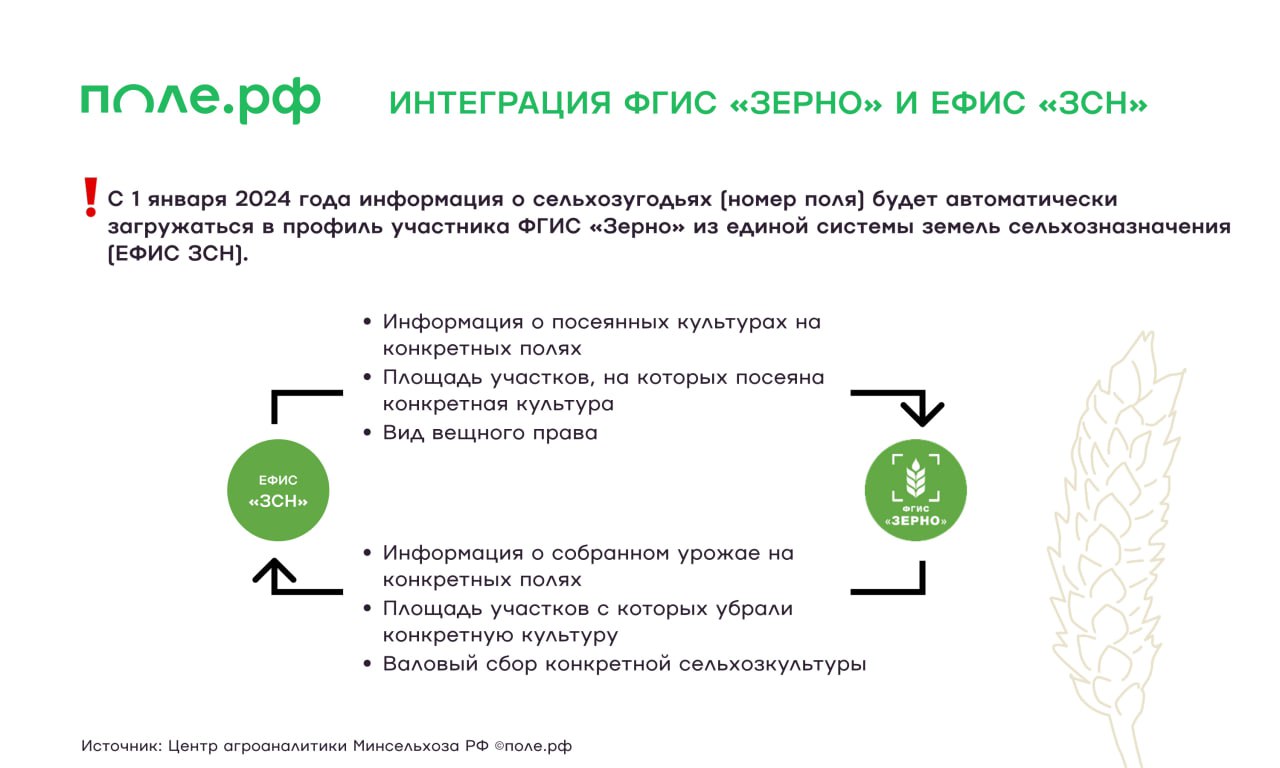 ФГИС «Зерно» будет выявлять нелегальный оборот зерна с 2024 года. С помощью  системы управления рисками